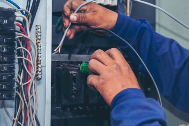 Best Electrician for Home Renovation  in Nyon Lake, CA